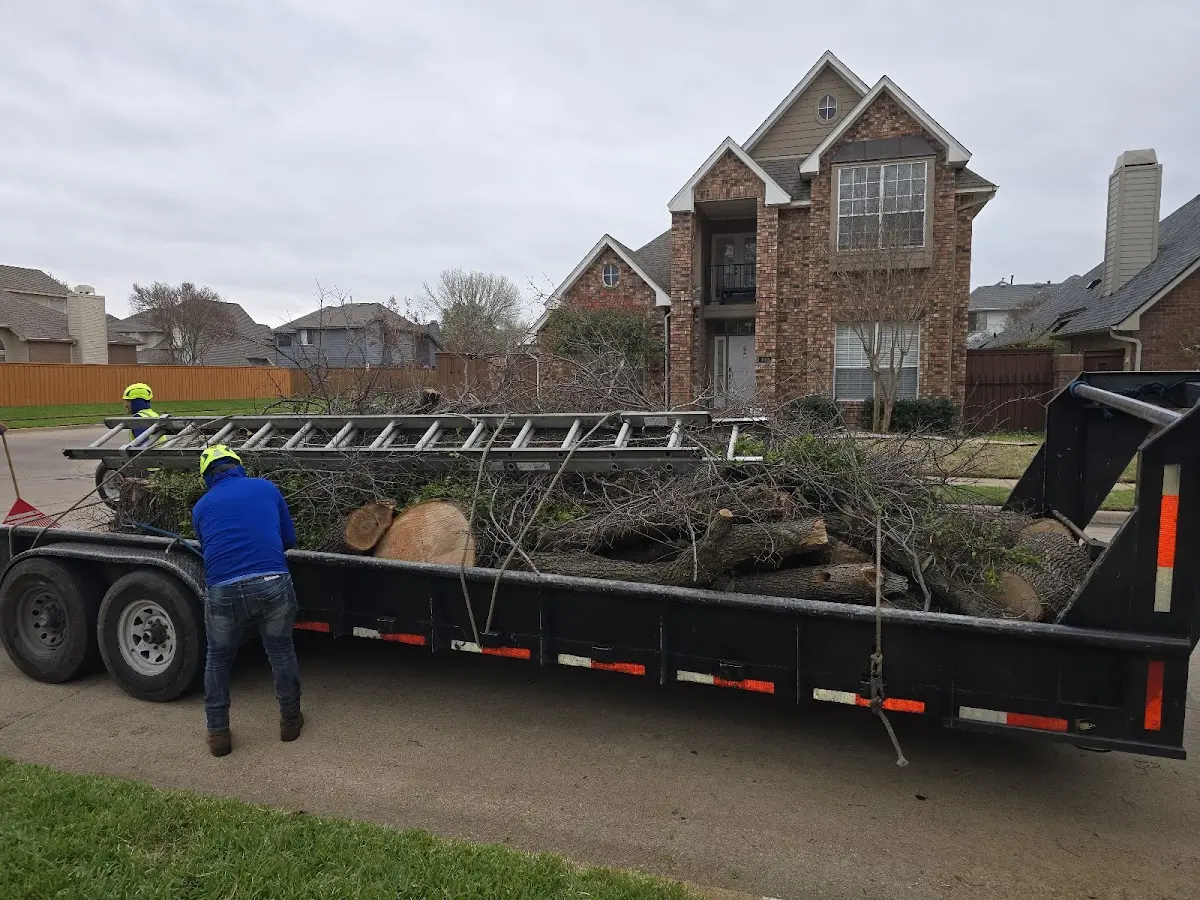 Expert Tree Removal with proper safety equipment in Mount Olivet